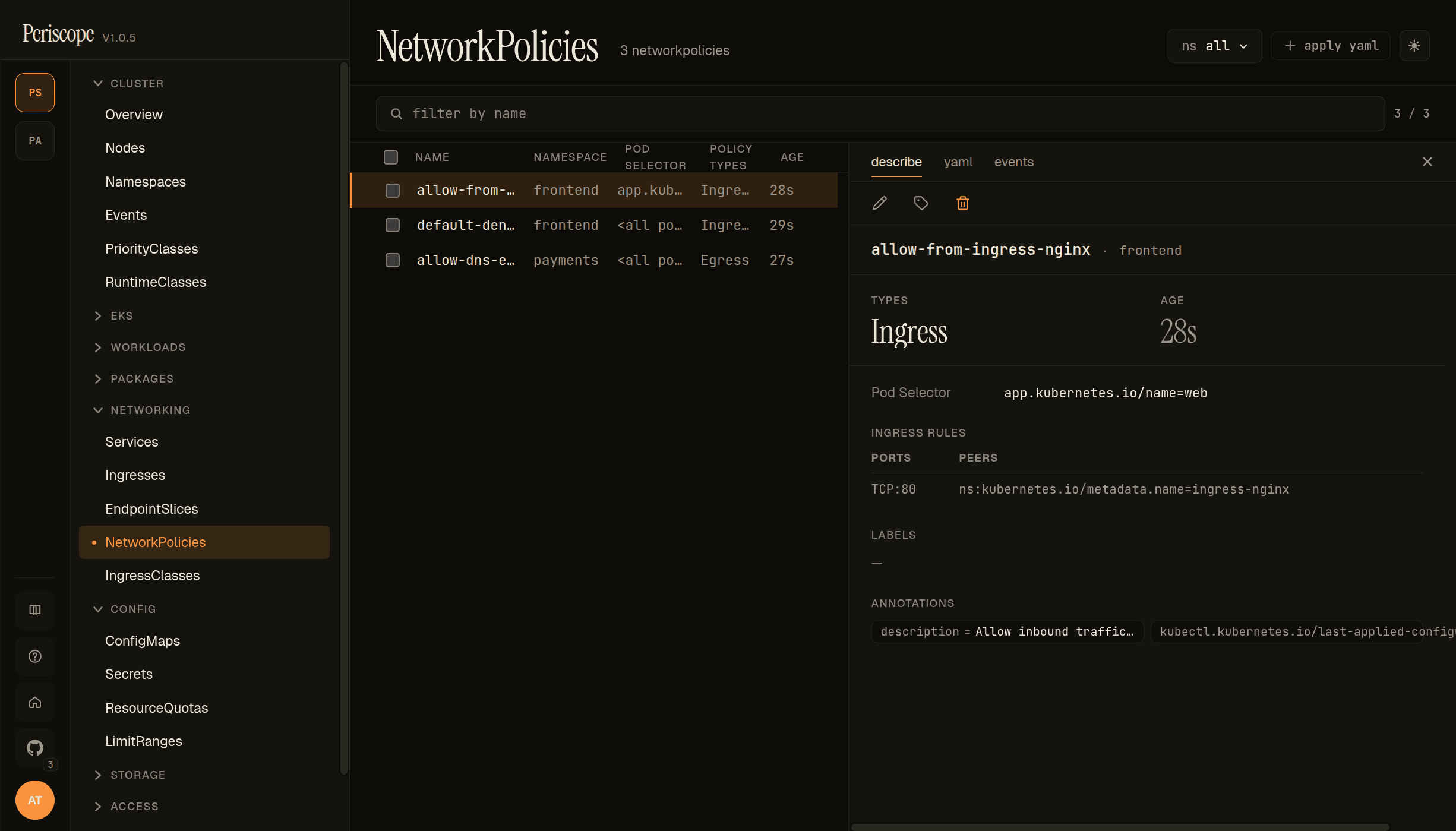 allow-from-ingress-nginx detail pane — describe tab with ingress rule