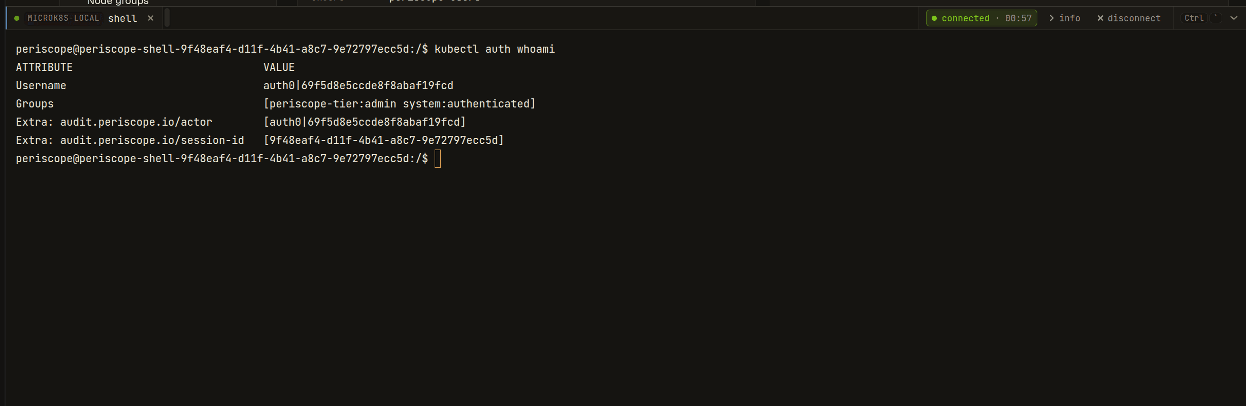placeholder: live cluster-shell session inside the drawer