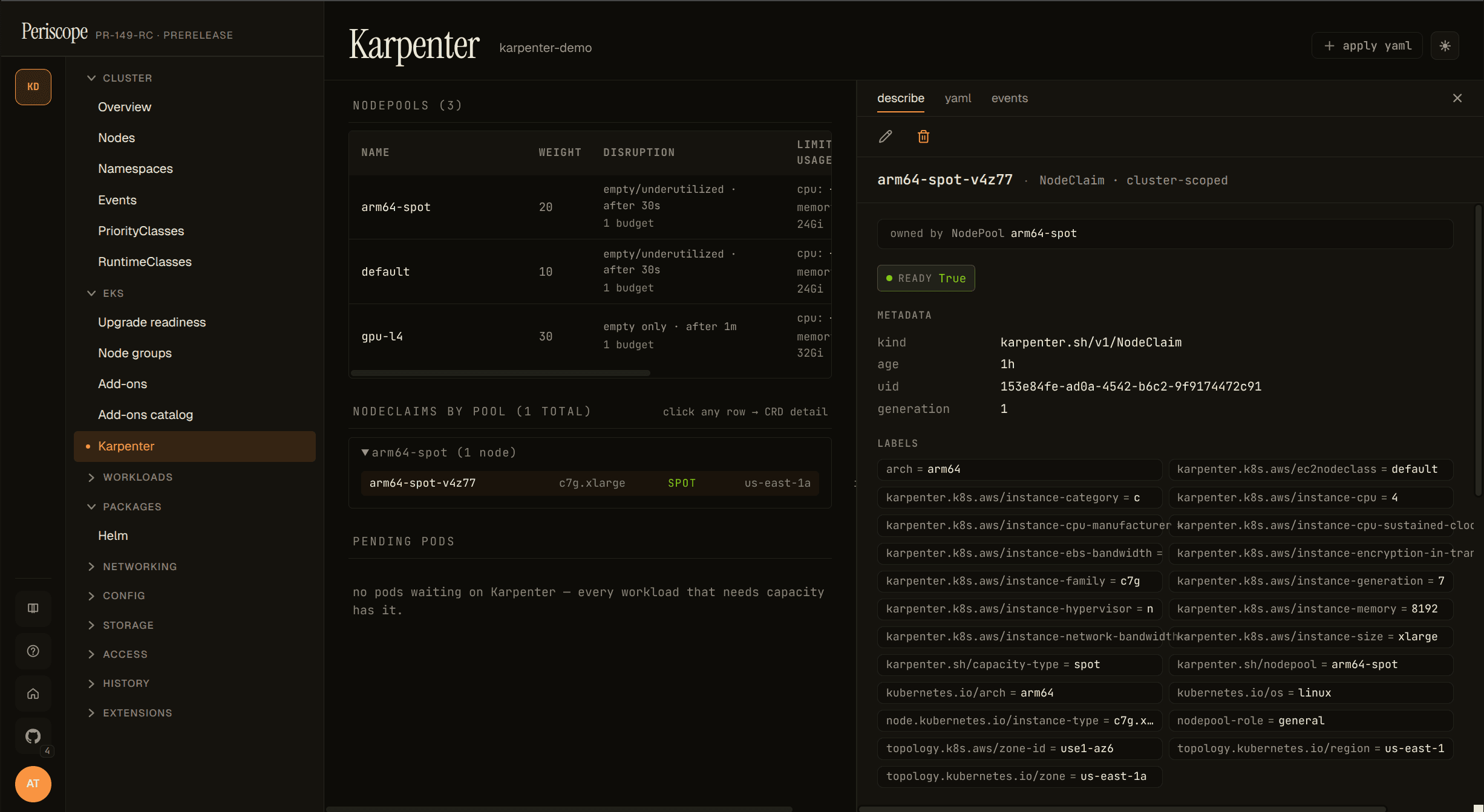 NodeClaim detail pane — full instance-type label table including arch, zone, capacity-type