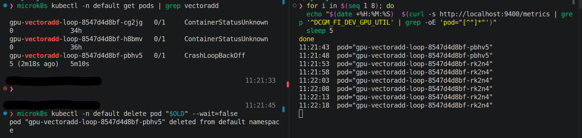 Side-by-side terminal screenshot of the pod-churn test. Left pane: kubectl get pods showing the live vectoradd pod gpu-vectoradd-loop-85470d40bf-phbv5 (plus historical ContainerStatusUnknown pods orphaned by laptop sleep/resume cycles over five days, a real-world churn pile-up), then kubectl delete issued against phbv5. Right pane: a 5-second loop scraping DCGM_FI_DEV_GPU_UTIL and printing the credited pod label at each scrape. phbv5 appears across the scrapes spanning the delete and the pod's termination grace period (the pod is still alive and still holds the device slot), then the replacement pod rk2v4 from the moment phbv5 fully terminates onward. No scrape ever credits a pod that does not currently own the device slot.